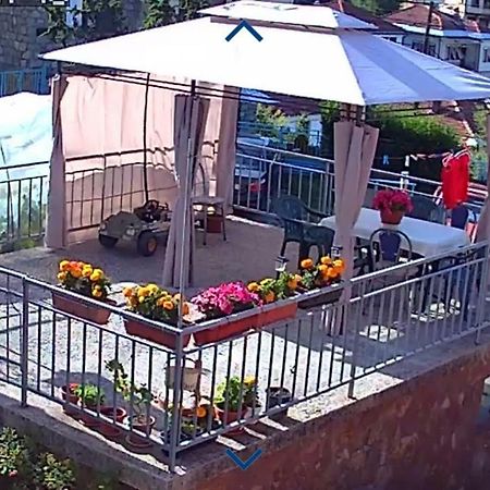Villa Flora Apartments Krushevo Крушево Экстерьер фото